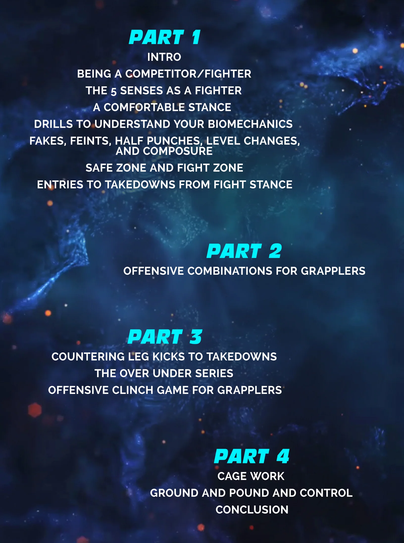 5 Senses of Striking by Henry Cejudo - Image 2
