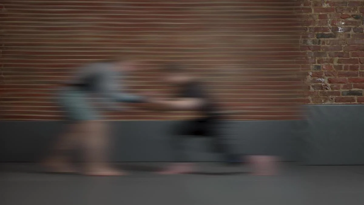 90 Day Project Based Jiu Jitsu by Josh Vogel - Image 2