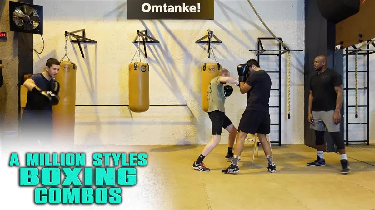 A Million Styles Boxing Combos by Barry Robinson - Image 3