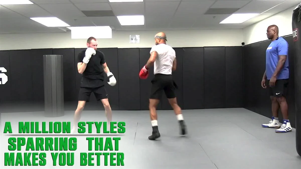 A Million Styles: Sparring That Makes You Better by Barry Robinson - Image 3