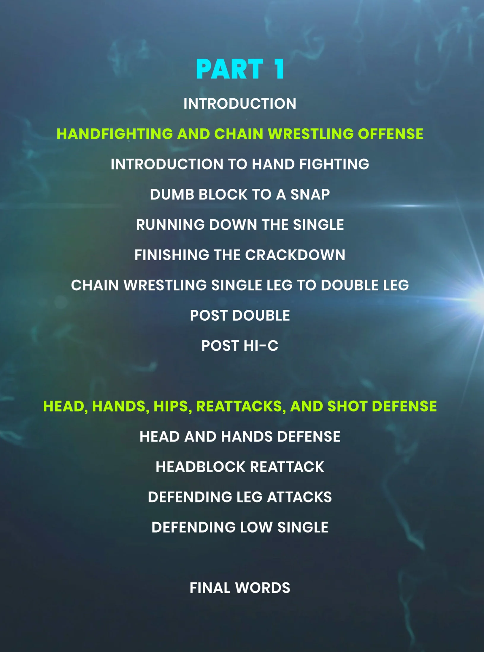 Action Reaction Takedowns by Deron Winn - Image 2