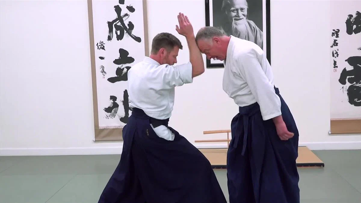 Aikido Extensions by Bruce Bookman - Image 3
