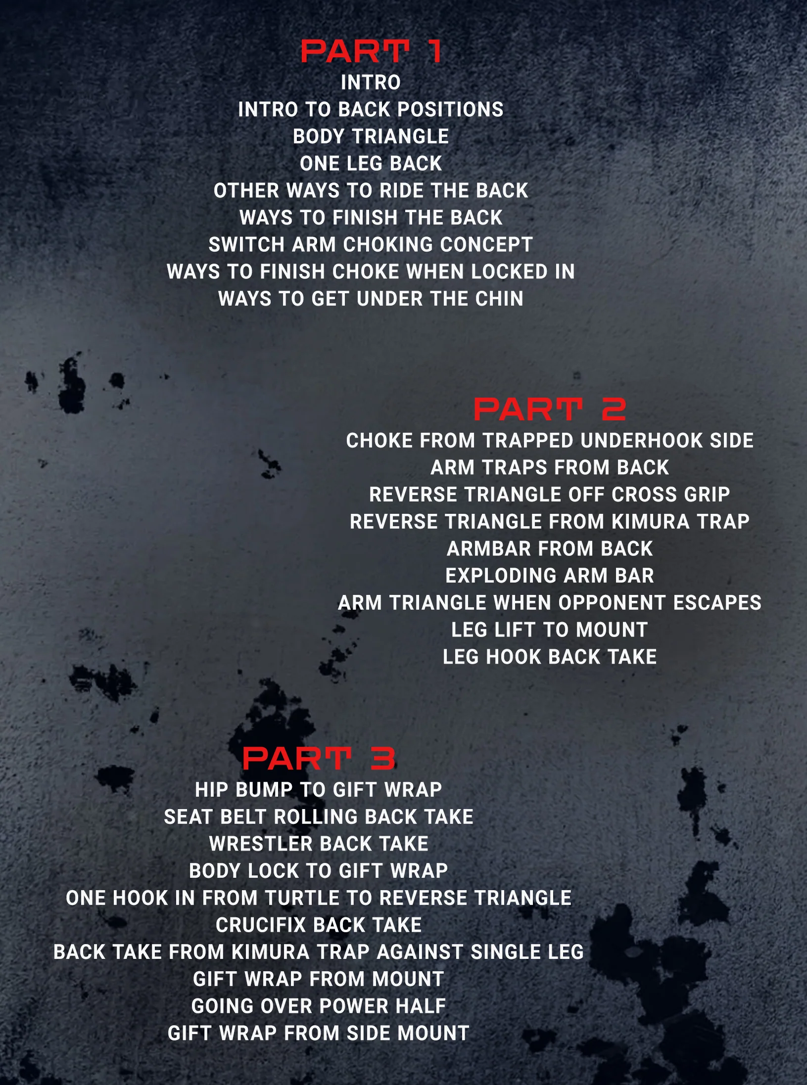 American Jiu-Jitsu Unleashed: Back Attacks by Jake Shields - Image 2