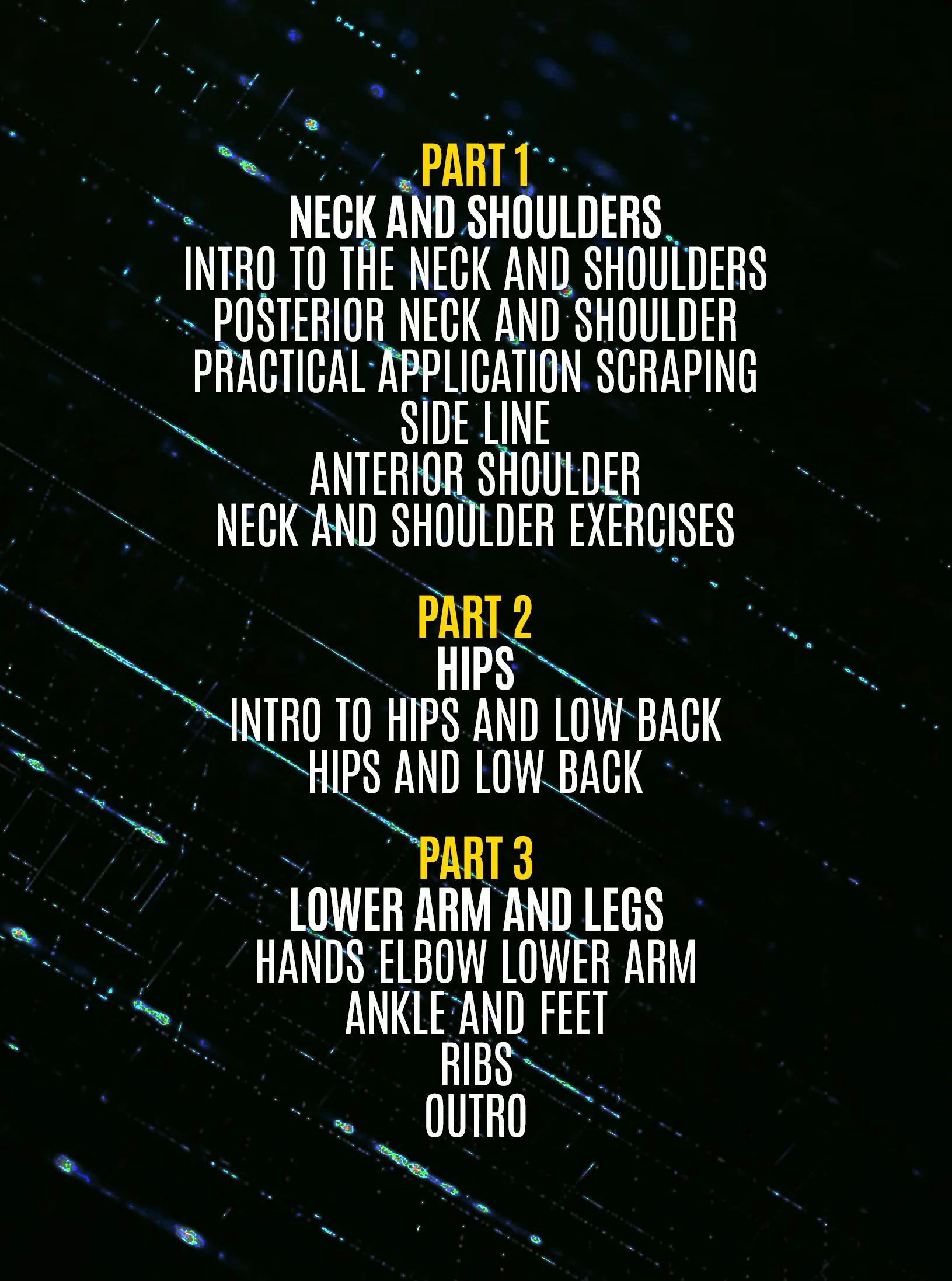 Anatomy And Self Treatment Techniques For Combat Sports by Scott Georgaklis - Image 2