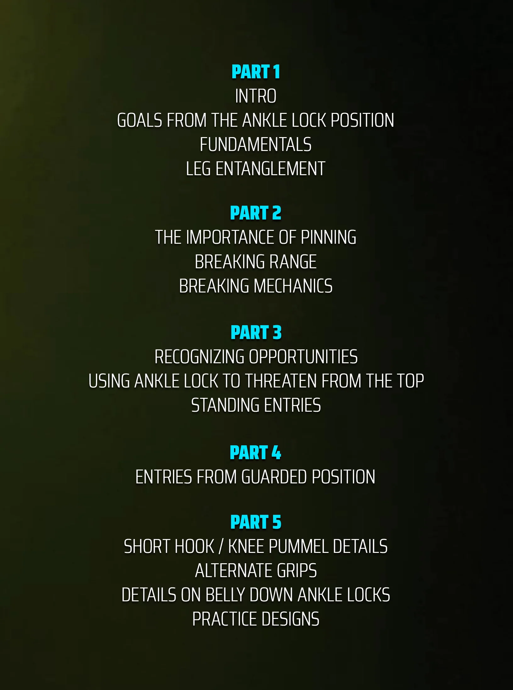 Ankle Lock Solutions and Practice Designs (Gi) by Jorge Valladares - Image 2