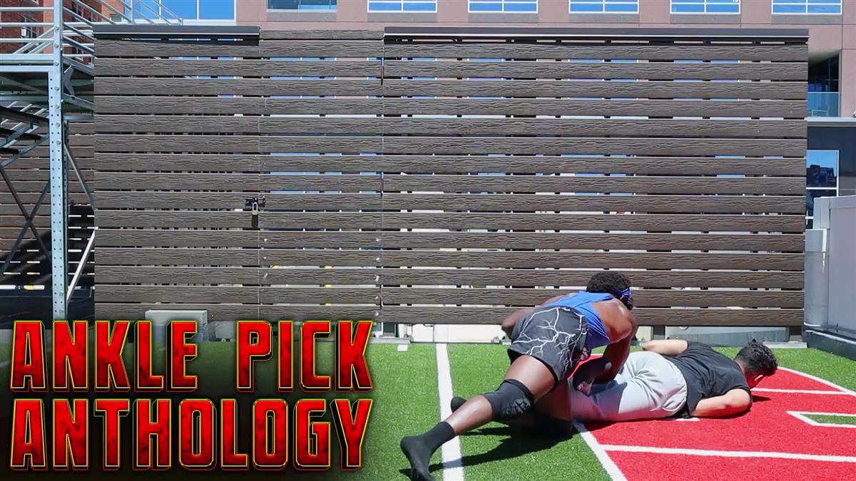 Ankle Pick Anthology by Keelon Jimison - Image 3