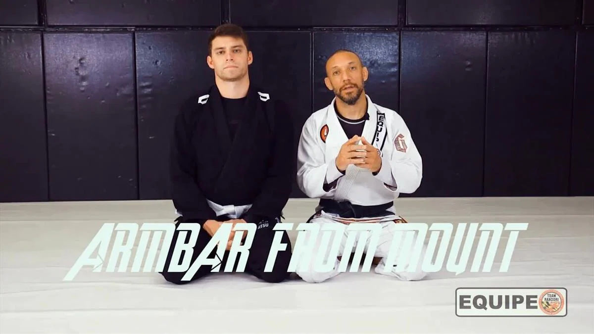 Armbar Domination by Al Hogan - Image 4