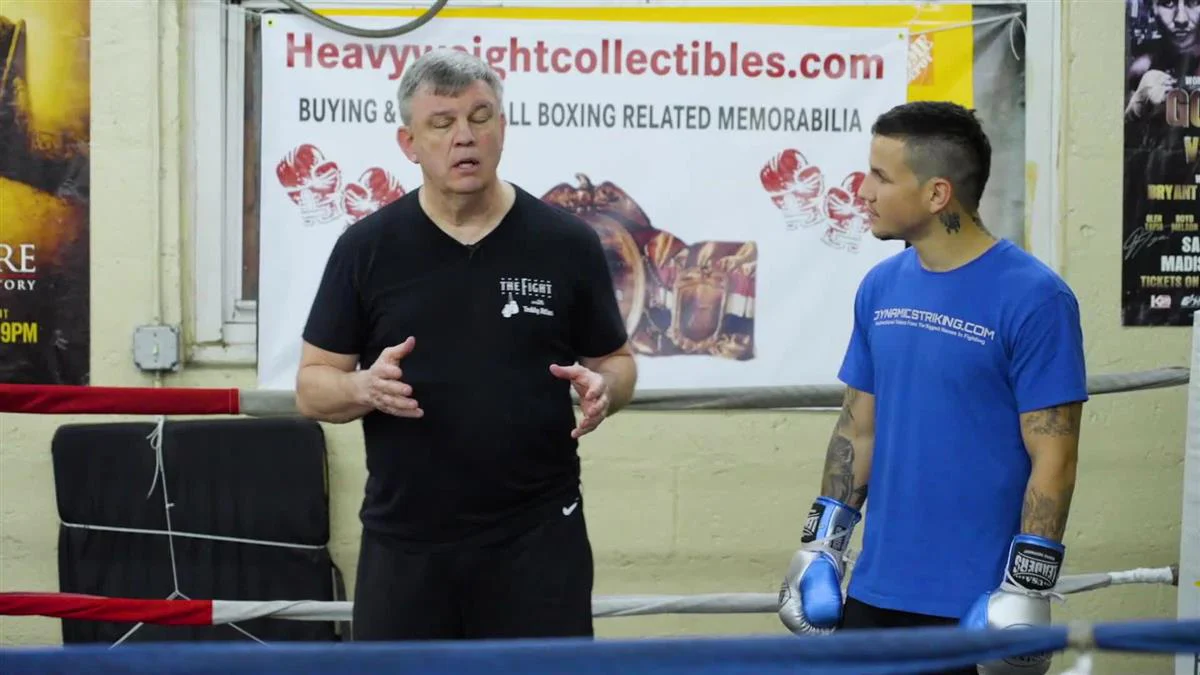 Art of Combo Punching by Teddy Atlas - Image 4
