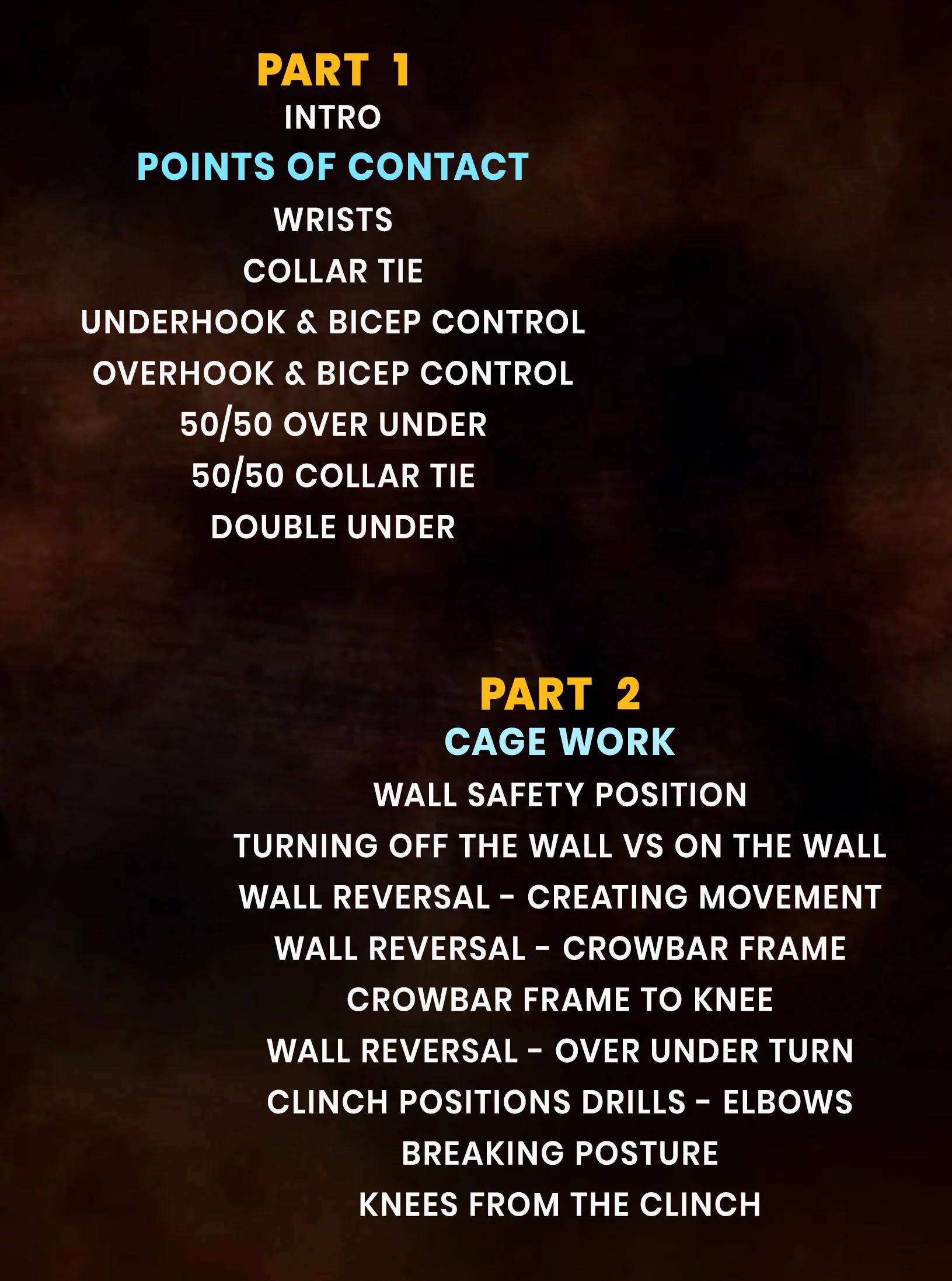 Art of MMA Intro to Clinch & Cagework by Charles Martinez - Image 2