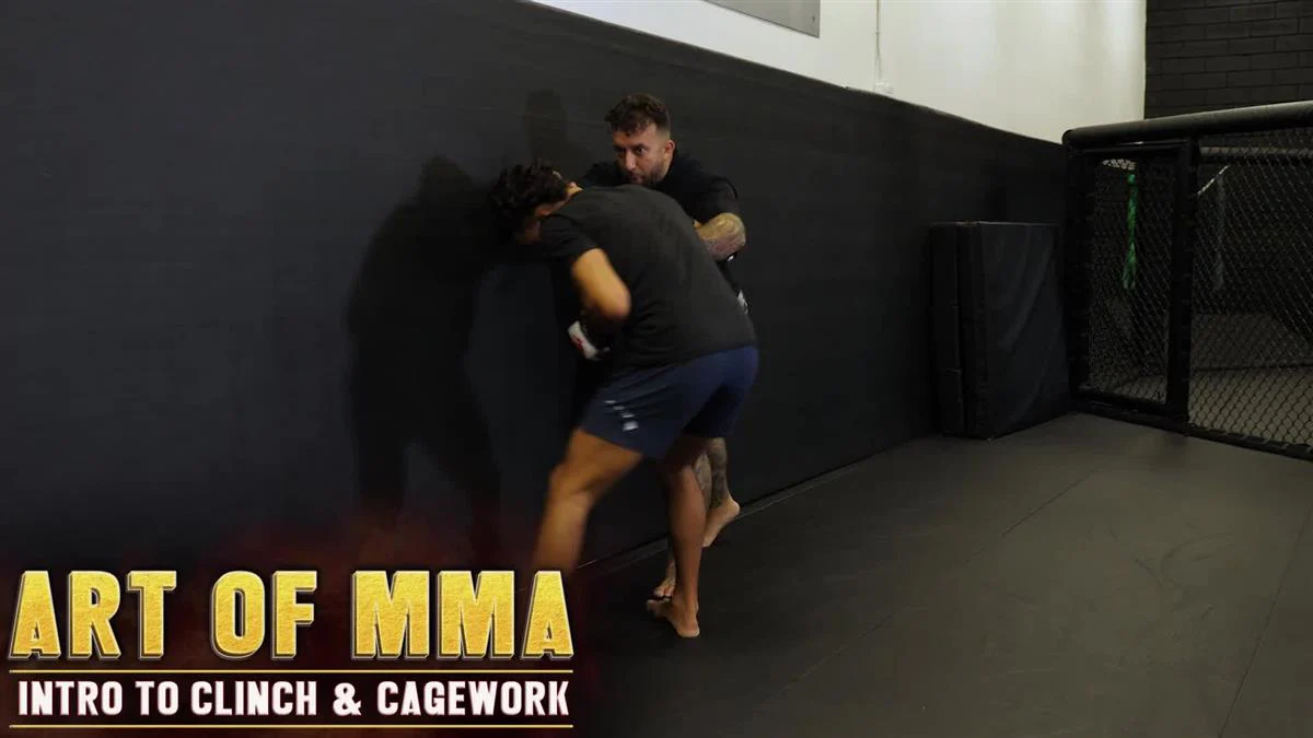 Art of MMA Intro to Clinch & Cagework by Charles Martinez - Image 3