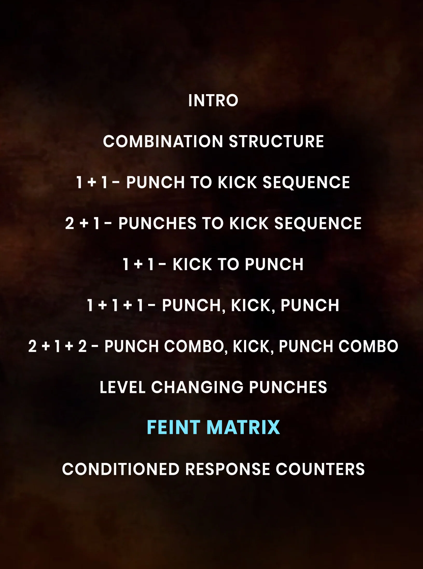 Art of Striking Combos, Counters, & Feints by Charles Martinez - Image 2
