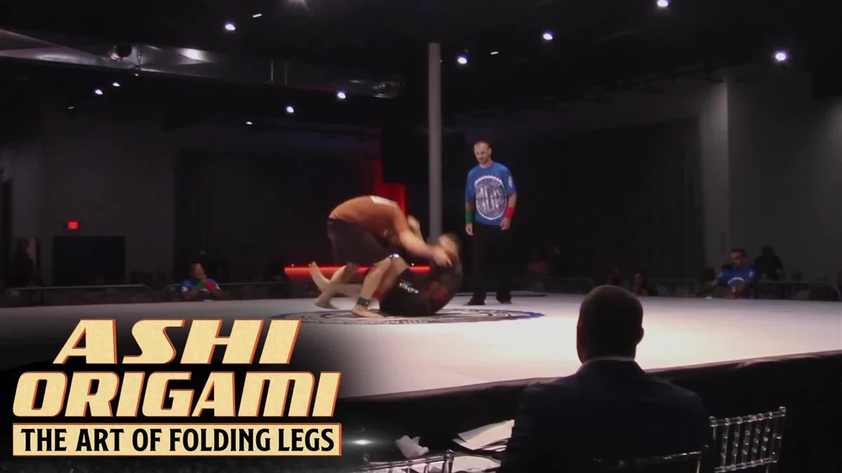 Ashi Origami: The Art of Folding Legs by Zach Green - Image 3