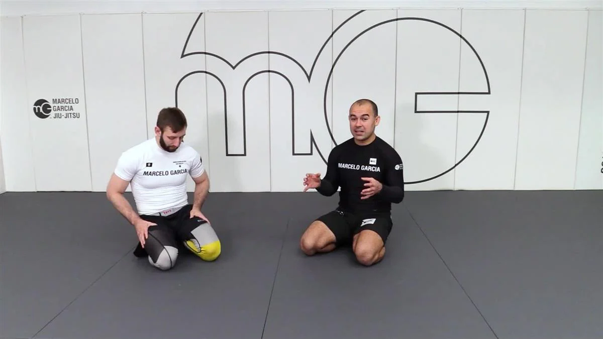 Attack The attacker by Marcelo Garcia - Image 5