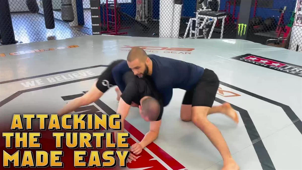 Attacking the Turtle Made Easy by Firas Zahabi - Image 3