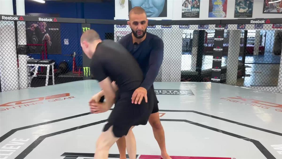 Attacking the Turtle Made Easy by Firas Zahabi - Image 4