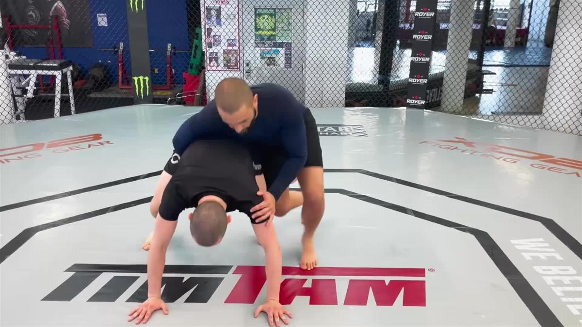 Attacking the Turtle Made Easy by Firas Zahabi - Image 5