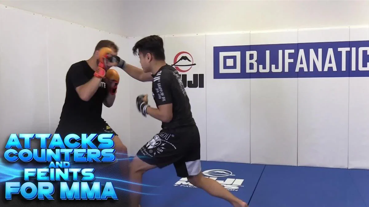 Attacks, Counter and Feints for MMA by Randy Steinke - Image 3