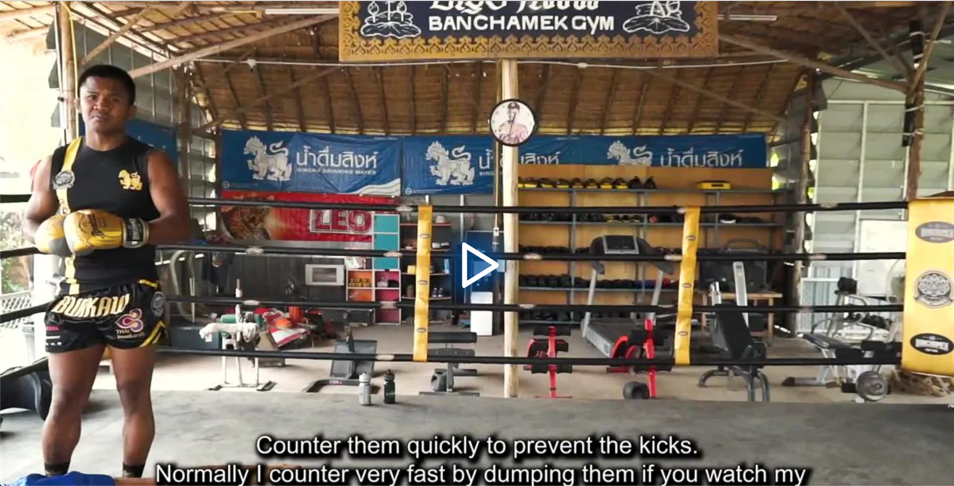 Authentic Muay Thai Striking by Buakaw Banchamek - Image 4