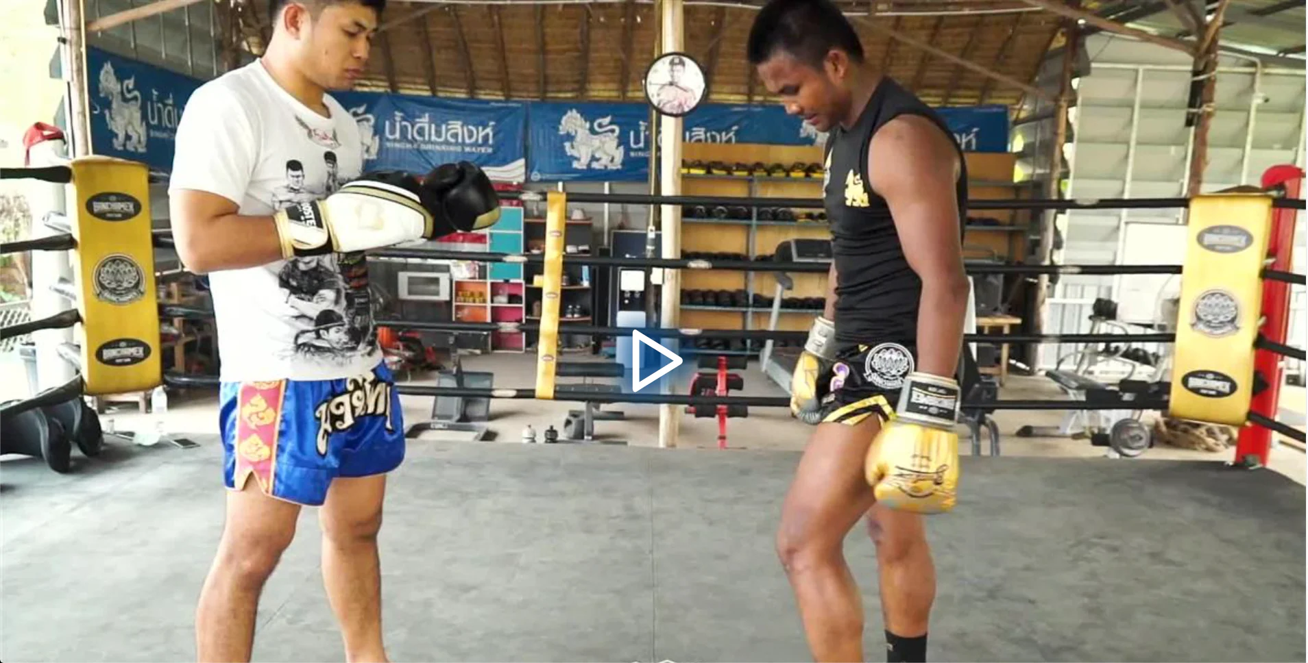 Authentic Muay Thai Striking by Buakaw Banchamek - Image 5
