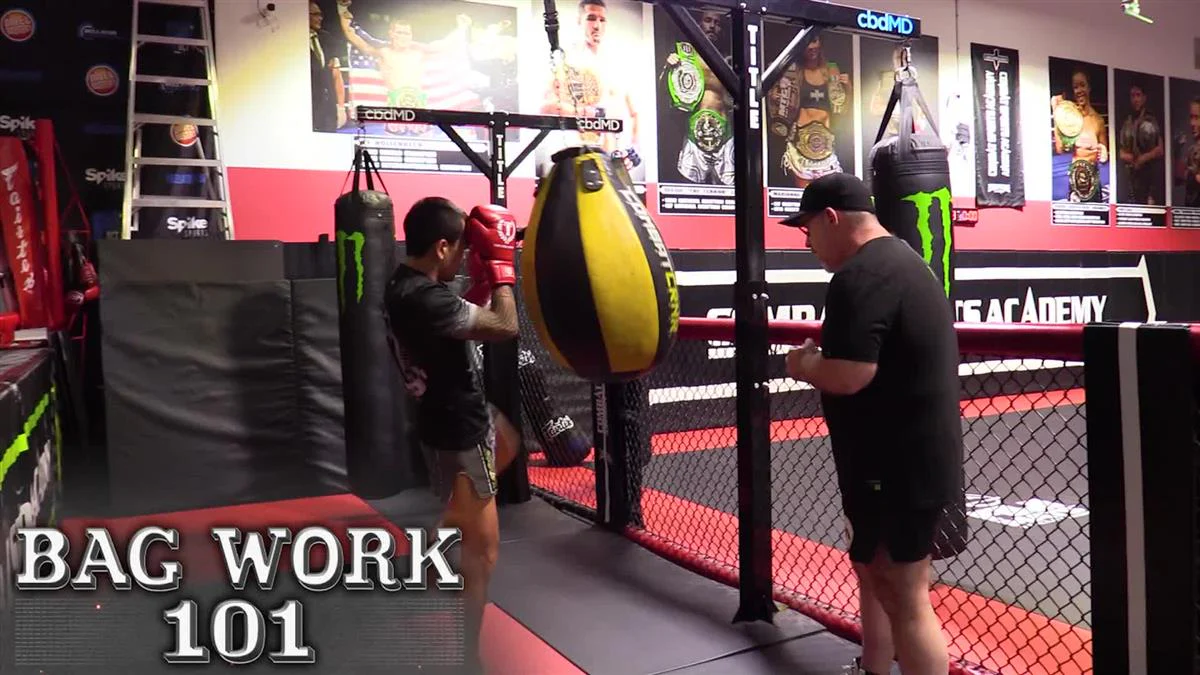 Bag Work 101 by Kirian Fitzgibbons - Image 3