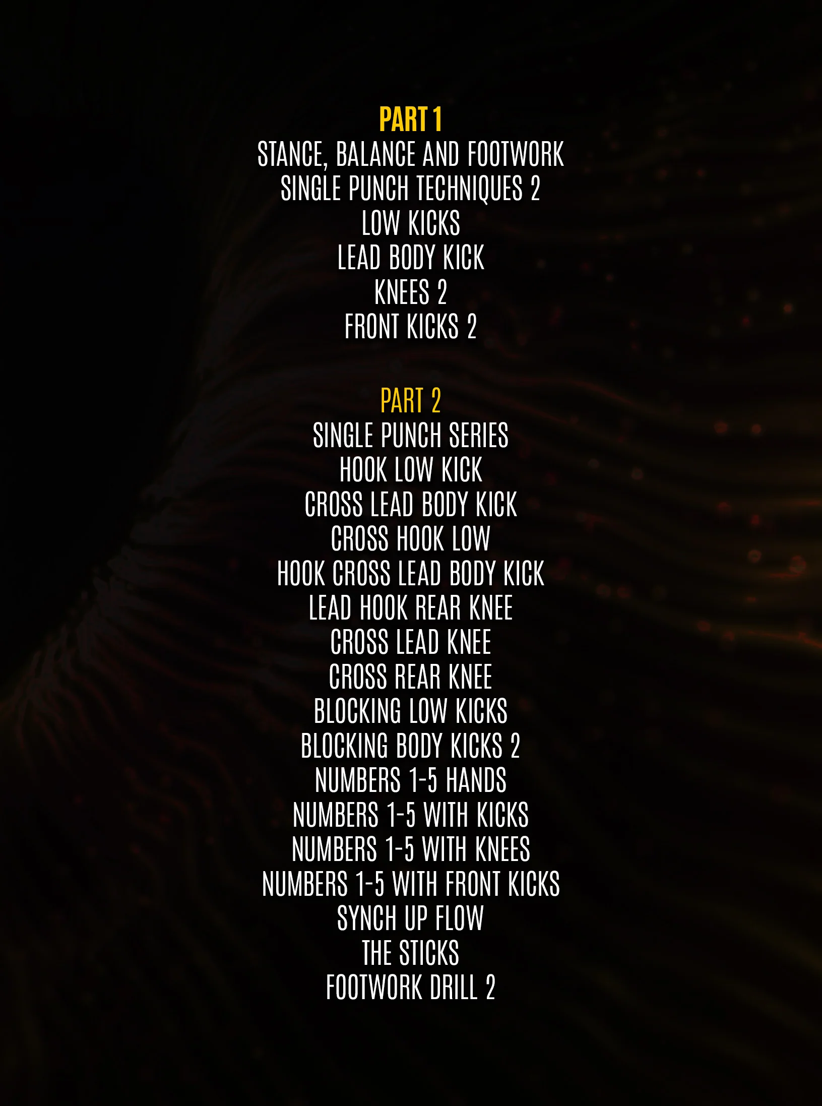 Bang Muay Thai Yellow Belt Requirements by Duane Ludwig - Image 2
