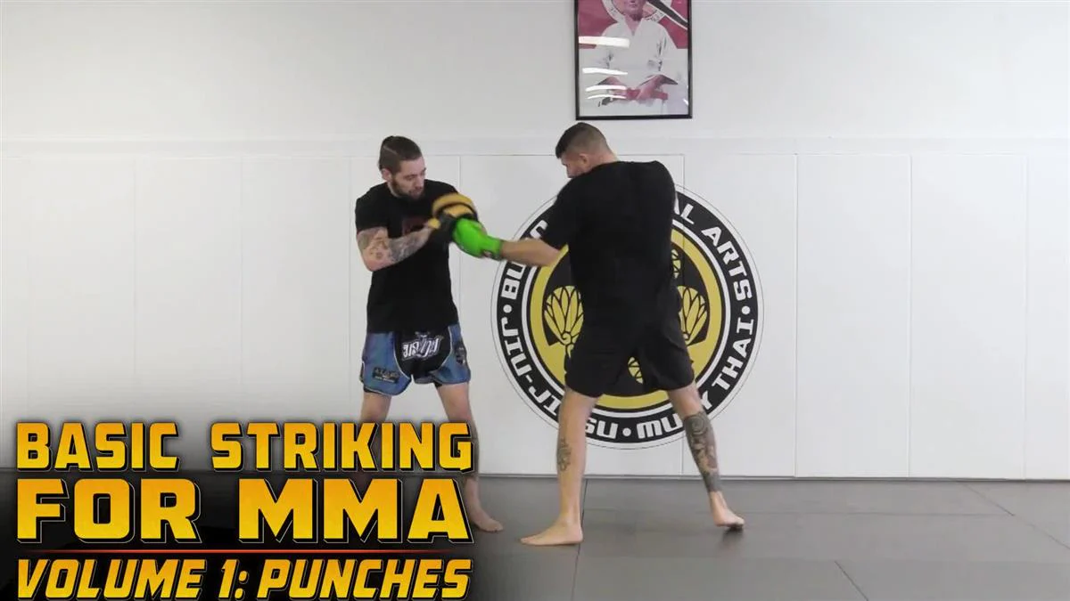 Basic Striking For MMA Volume 1: Punches by Charlie Vinch - Image 3