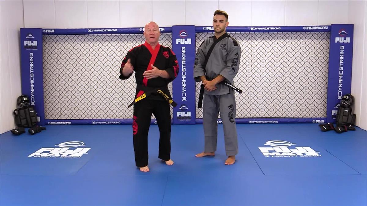 Beginner Drills For Tae Kwon Do Mastery by Todd Droege - Image 4
