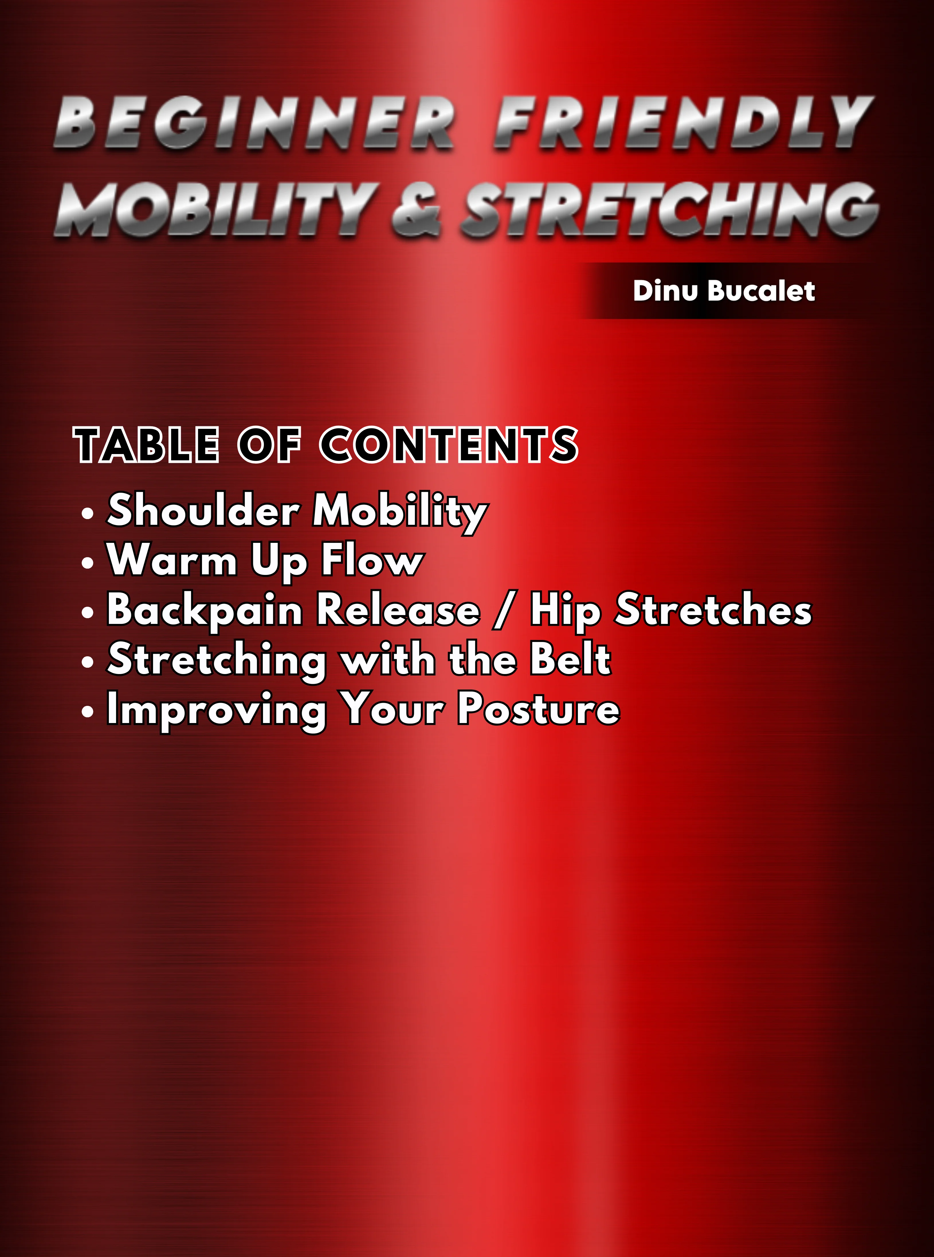 Beginner Friendly Mobility and Stretching by Dinu Bucalet - Image 2