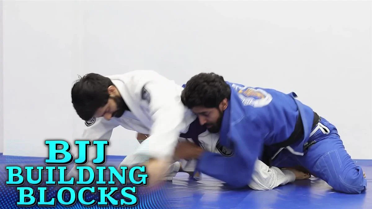 BJJ Building Blocks by Arun Sharma - Image 3
