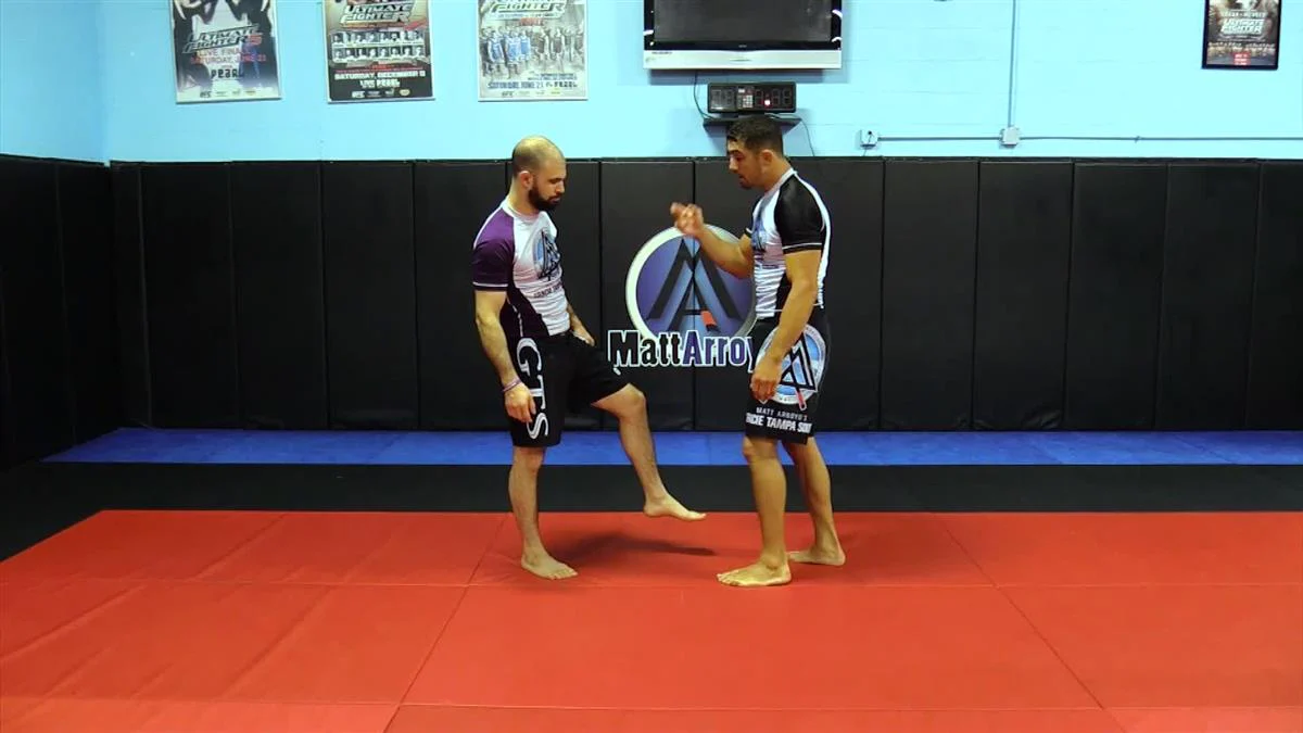 BJJ Takedown Blueprint by Matt Arroyo - Image 5