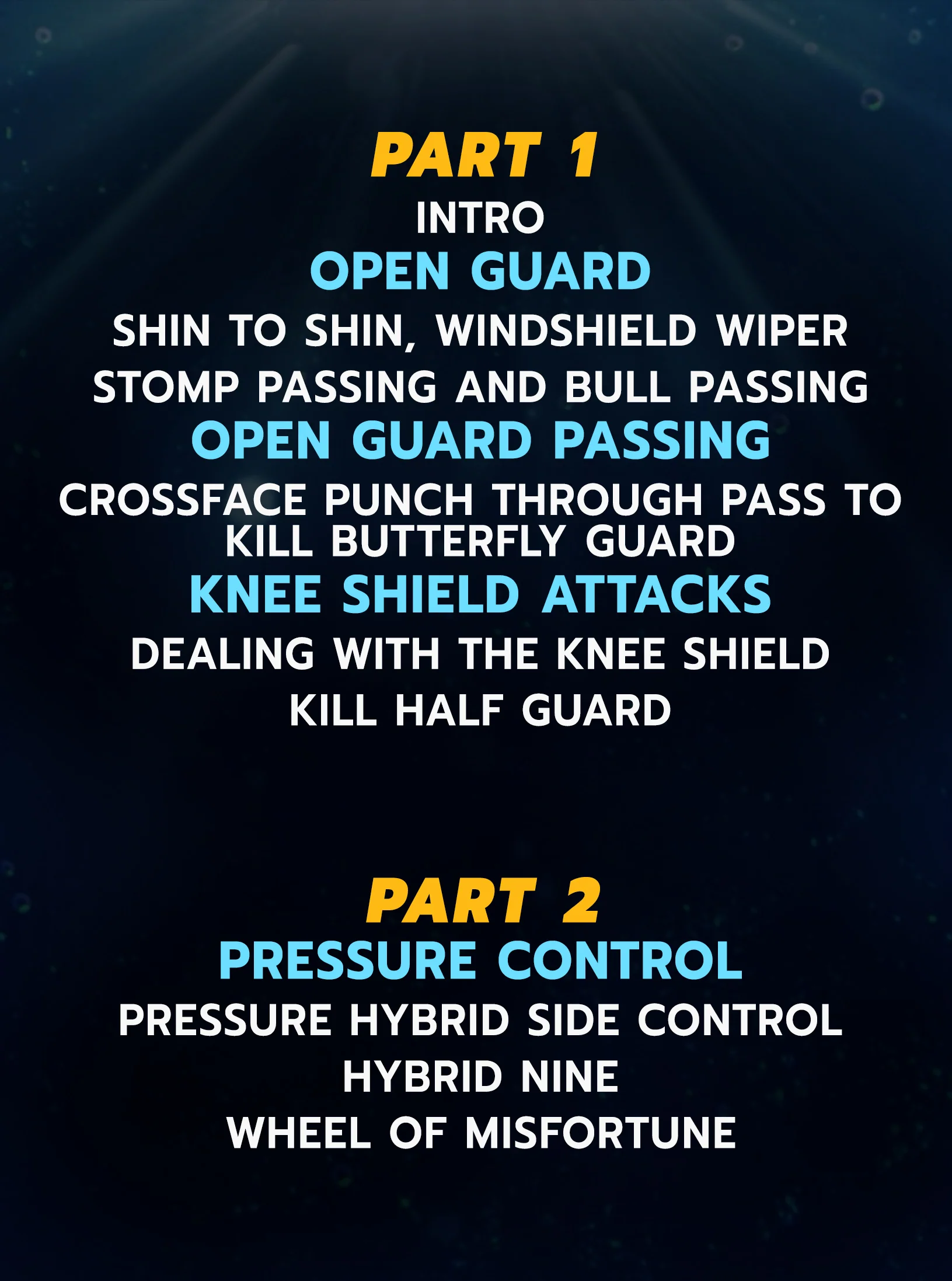 Blackout Grappling: Hybrid Blueprint by David and Vince Petrone - Image 2