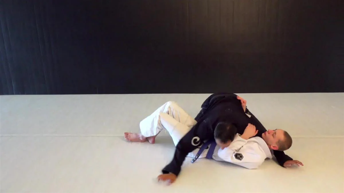 Blue Belt Requirements 2.0 by Roy Dean - Image 4