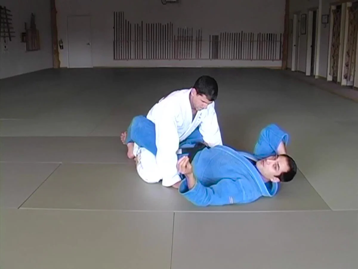 Brazilian Jiu Jitsu Blue Belt Requirements by Roy Dean - Image 3