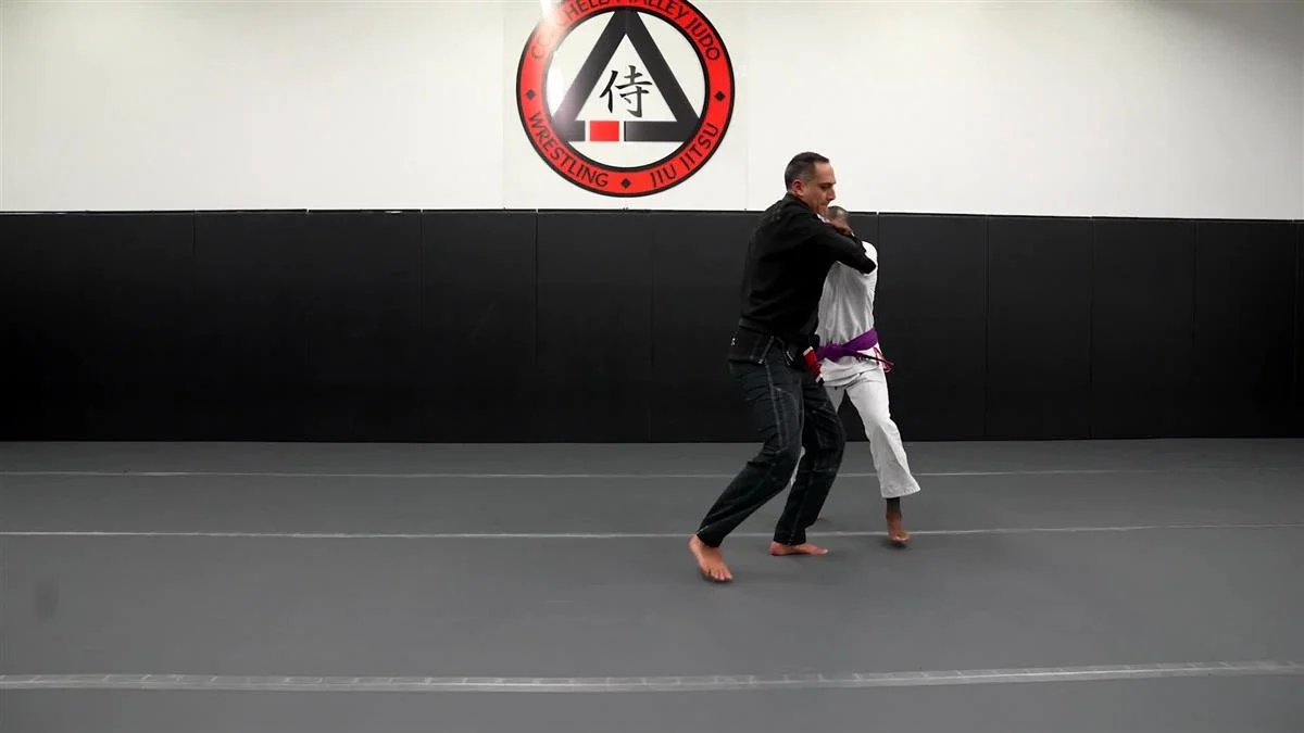 Brazilian Jiu Jitsu Requirements: Purple Belt 2.0 by Roy Dean - Image 4