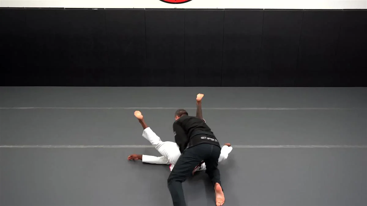 Brazilian Jiu Jitsu Requirements: Purple Belt 2.0 by Roy Dean - Image 5