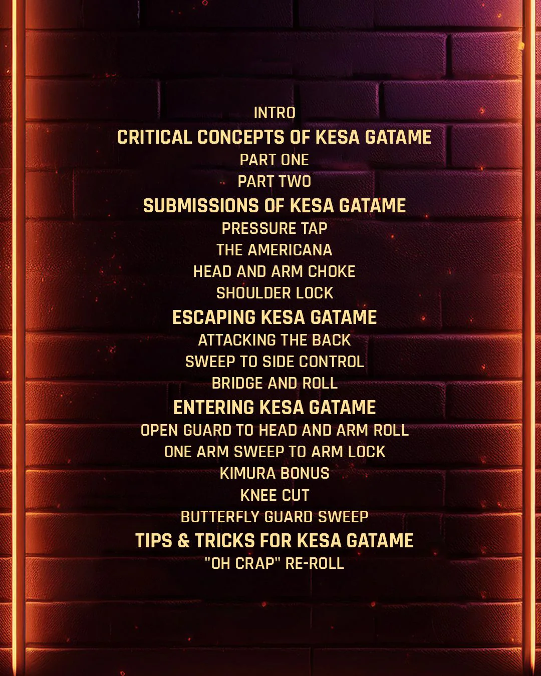 Bricks Kesa Gatame System by Jeremy Brick - Image 2