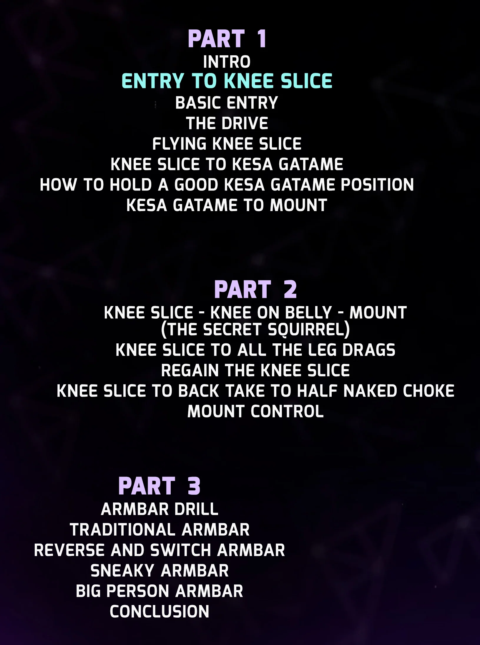 Dynamic Knee Slice Passing No Gi by Amy Campo - Image 2