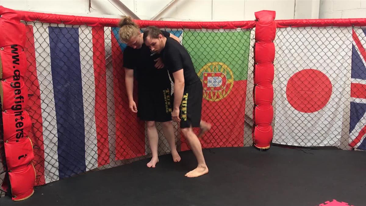 Cage Control by Mick Hall - Image 3