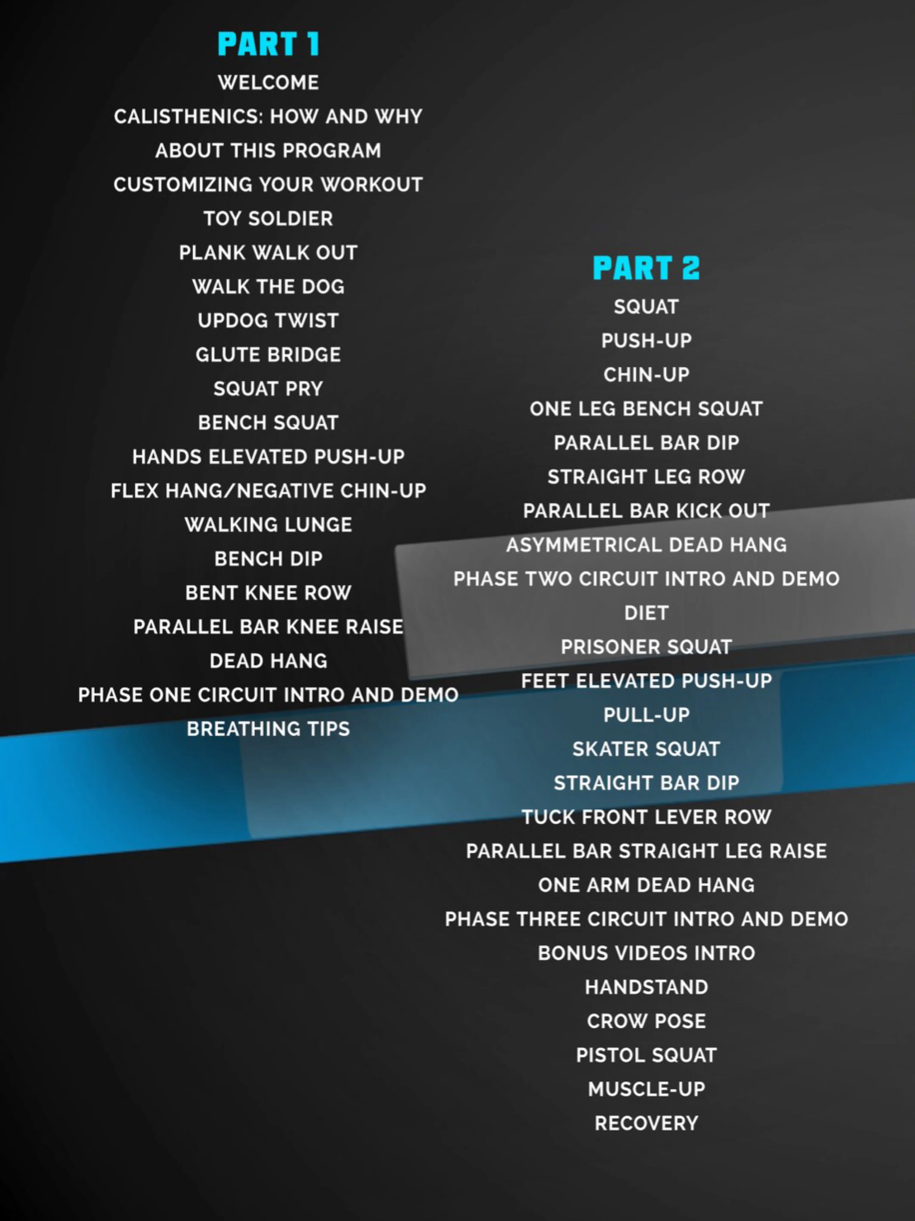 Calisthenics Conditioning by Al Kavadlo - Image 2