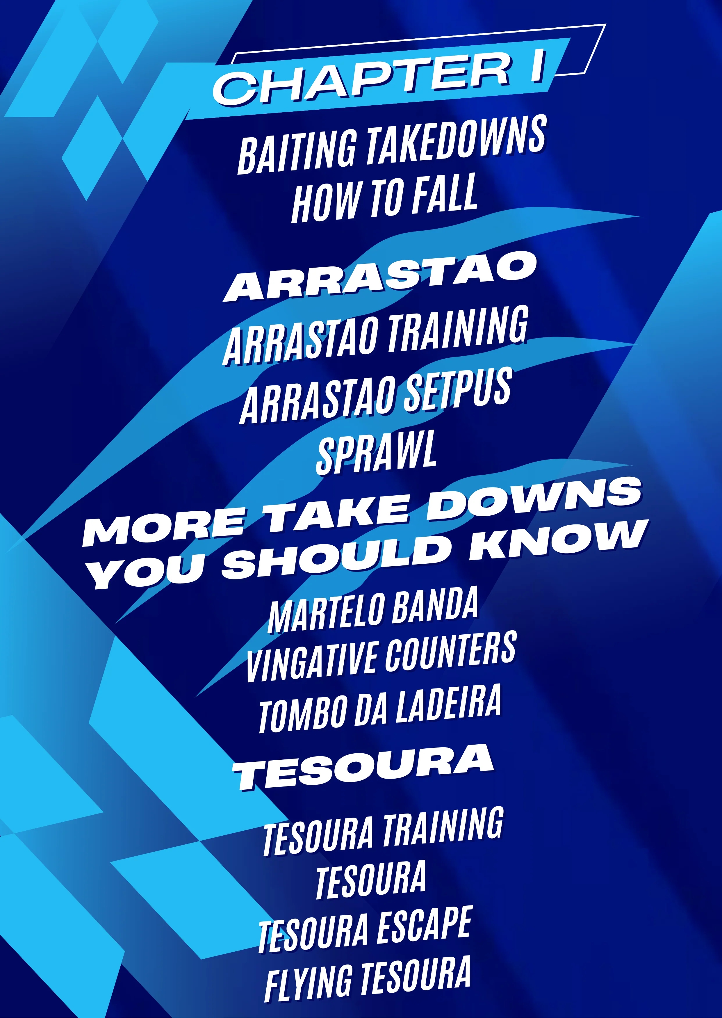 Capoeira Takedowns by Tom Polonsky - Image 2