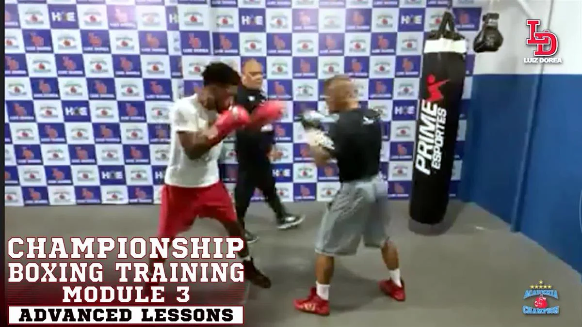 Championship Boxing Training Module 1: Advanced Lessons by Luiz Carlos Dorea - Image 3