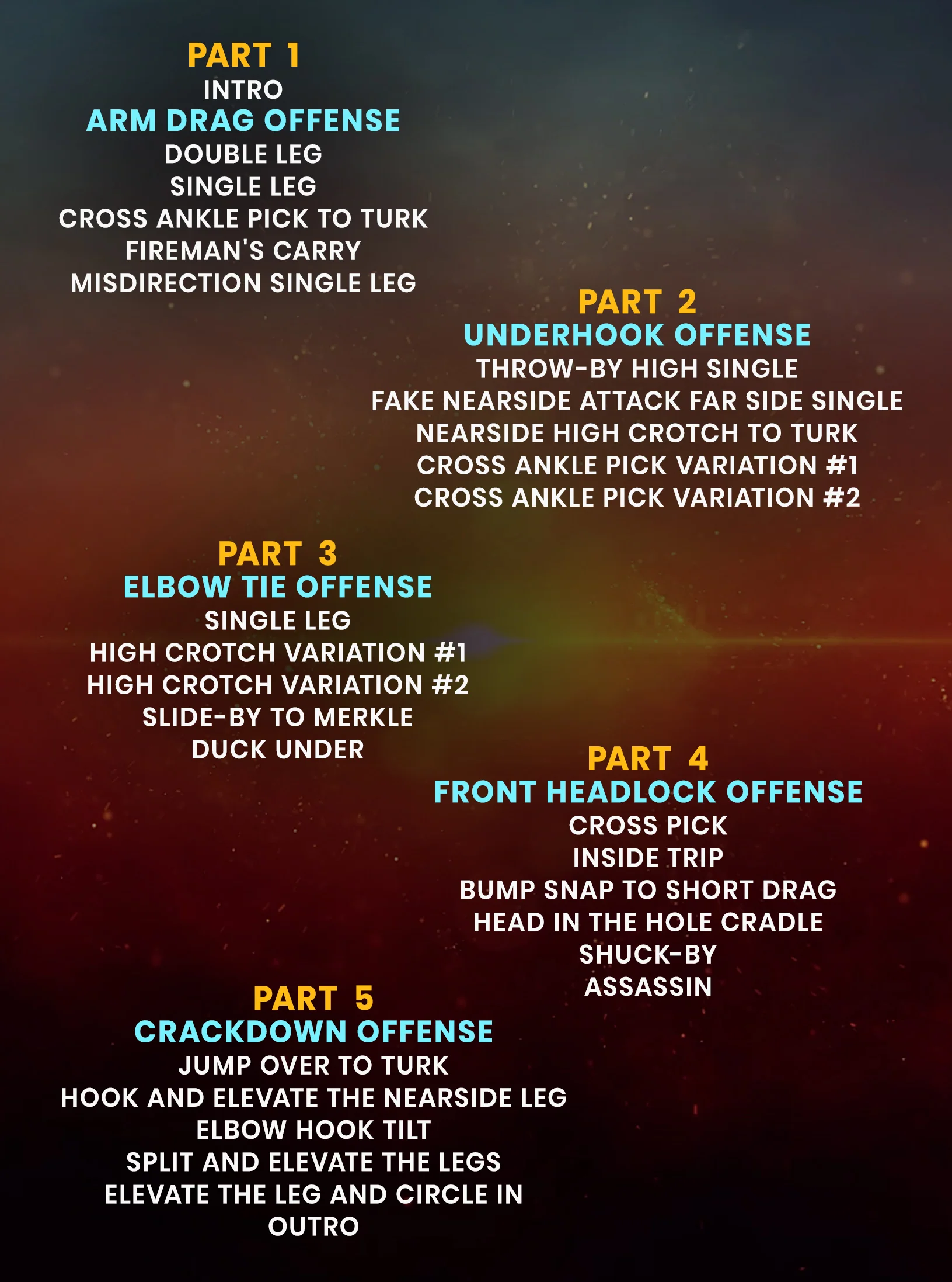 Championship Takedown Offense by Shane Griffith - Image 2