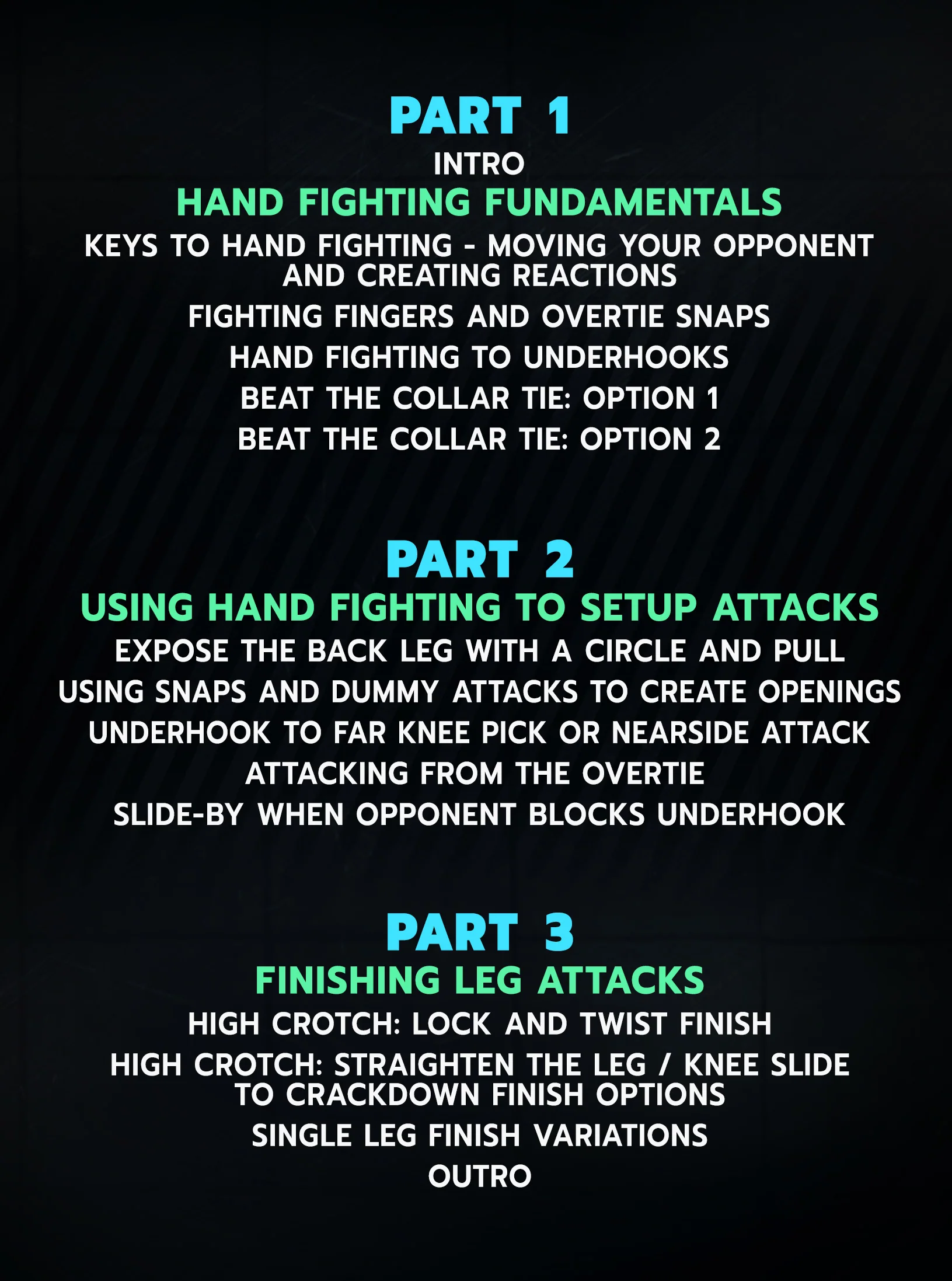 Championship Takedown Tactics: Mastering Offense Through The Art of Hand Fighting by Carter Starocci - Image 2