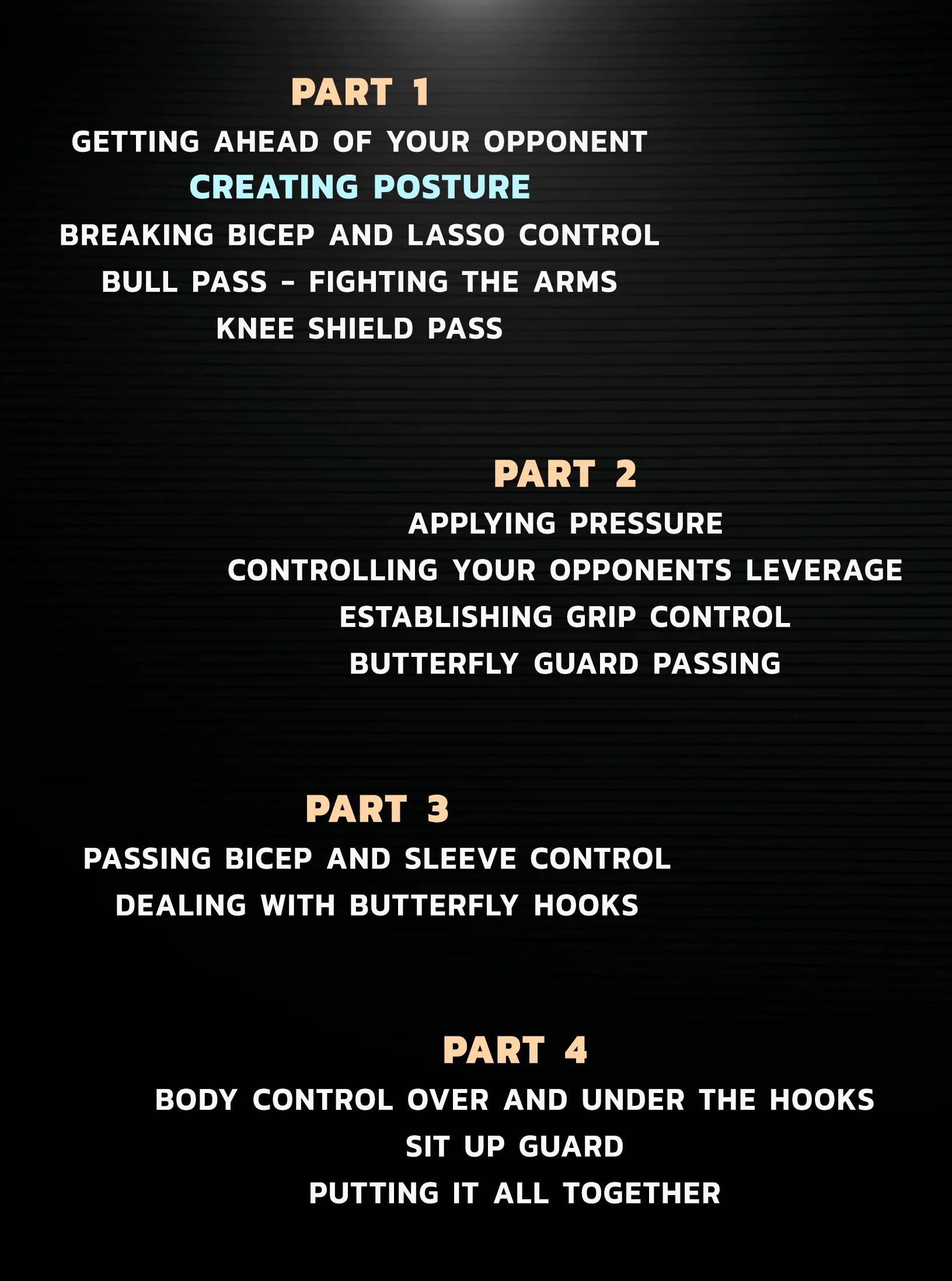 Coral Belt Concepts: Guard Passing by Fabio Gurgel - Image 2