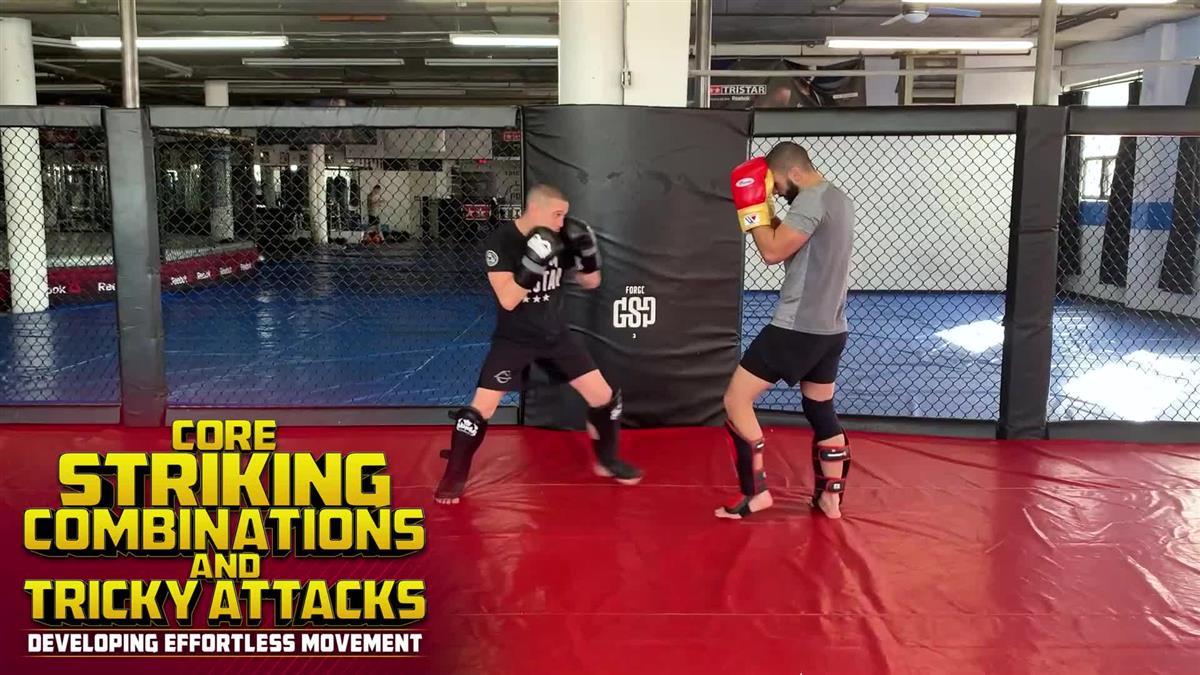 Core Striking Combinations and Tricky Attacks by Firas Zahabi - Image 3