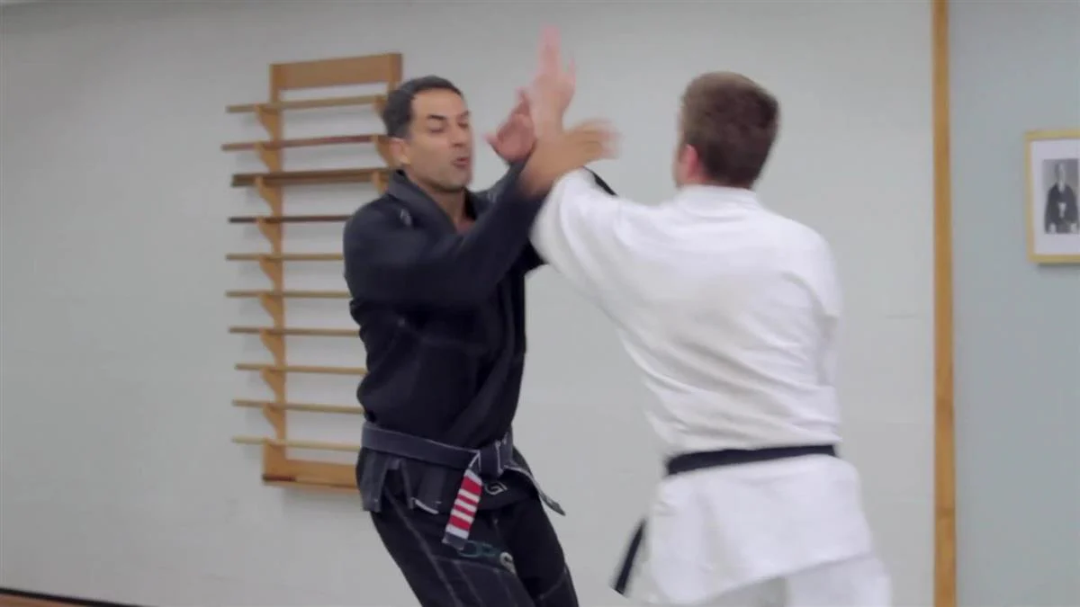 Countering Jiu Jitsu: A Beginners Guide by Roy Dean - Image 3