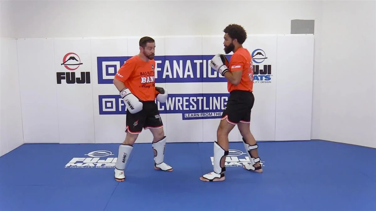 Countering The Jab by Duane Ludwig - Image 4