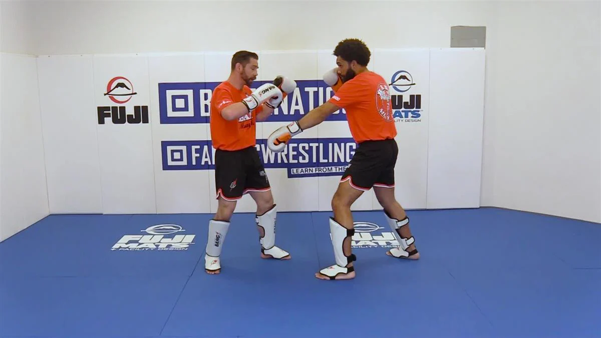 Countering The Jab by Duane Ludwig - Image 5