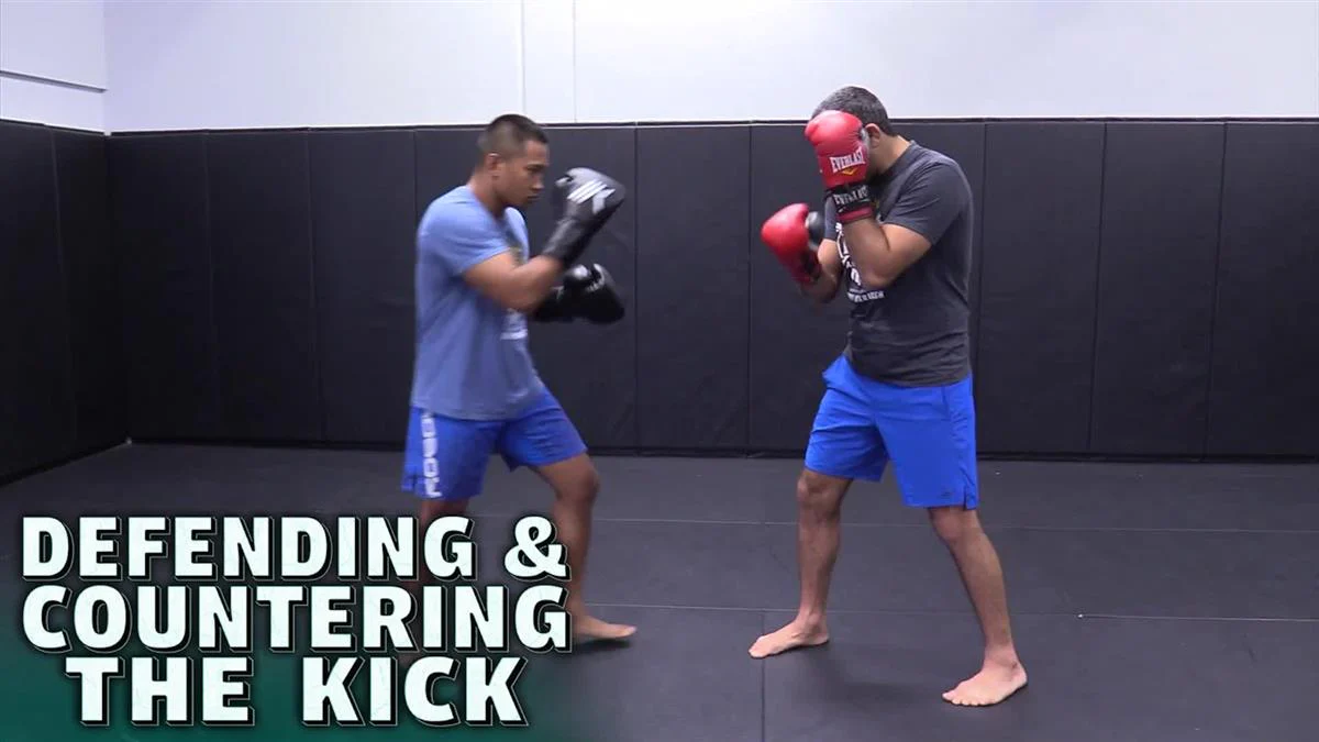 Defending & Countering The Kick by Beneil Dariush - Image 3