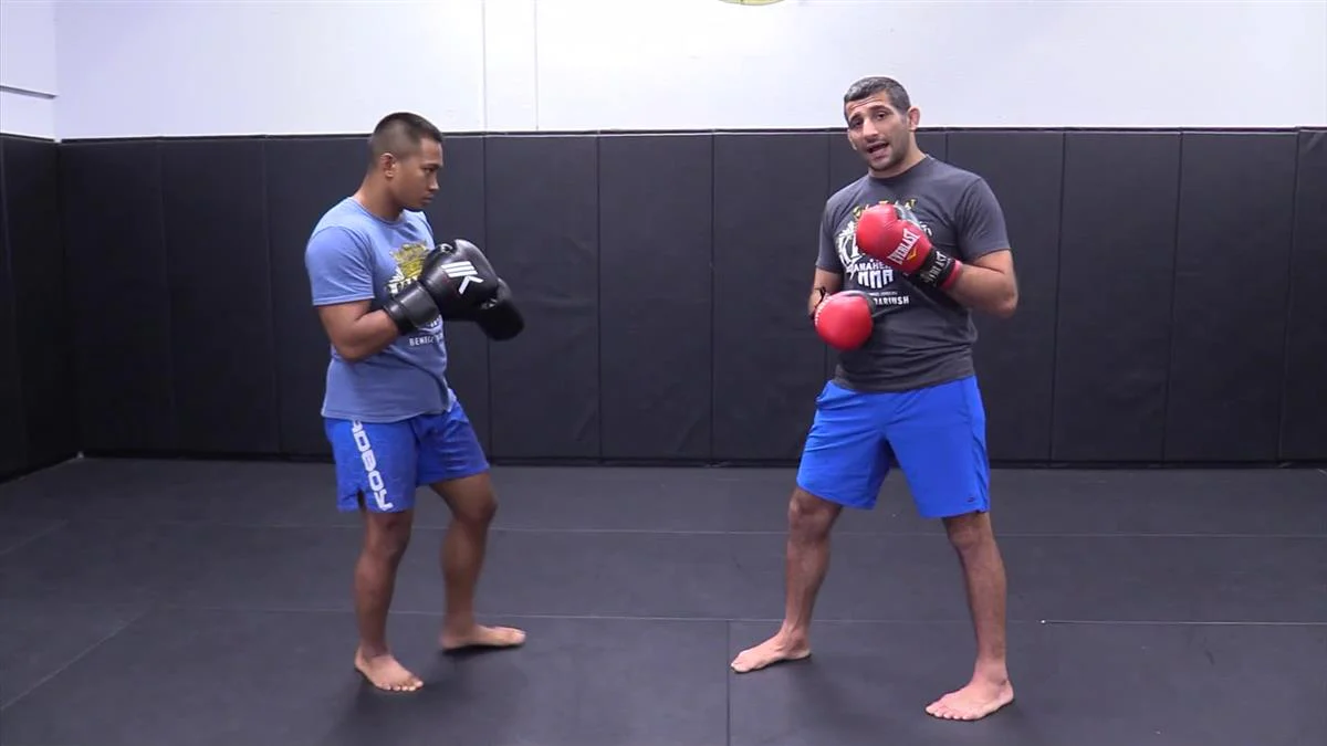 Defending & Countering The Kick by Beneil Dariush - Image 4